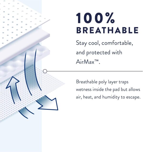 Prevail Per-Fit Protective Underwear Medium - 20ea/pk 4pk/cs - Image 3